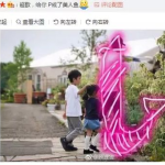 活跃的网红,揭秘当下热门网红的崛起之路