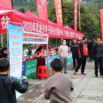 网红走扶贫,网络力量点亮乡村振兴之路