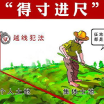9寸 1寸 1尺打一成语,成语新意——从‘九寸加一寸，一尺的巧妙运用看成语的生动魅力”