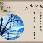 人生妙语,妙语中的哲理与启示